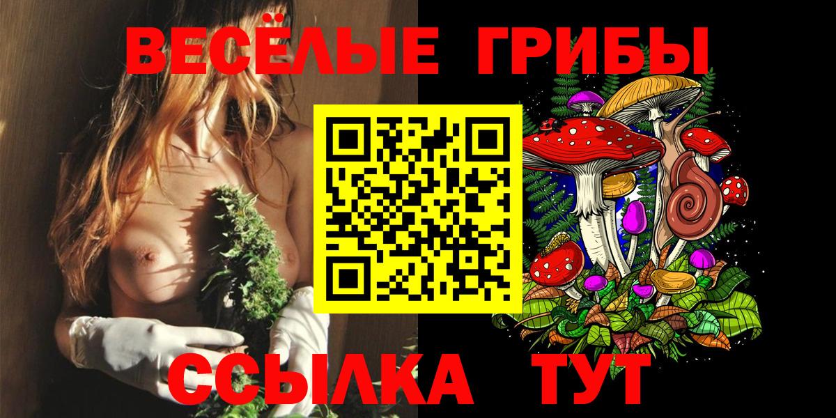 Псилоцибиновые грибы ЛСД  Псилоцибиновые грибы Psilocybe  Вход с VPN  Орёл 